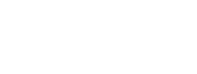 Niche Project Agency